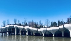 A photo of Little Island, New York City. White oncrete structures are built on the water with trees and foilage on top of the structures creating a mini park. A blue sky is in the background.